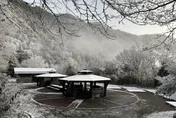 快訊/年獸寒流來敲門！南橫降下絕美雪景　向陽山區成銀白世界