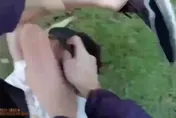 影/男子拒檢棄車狂逃！警壓制遭反抗　祭出辣椒水逮2嫌