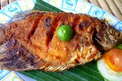 魚刺卡喉「大口吞飯、催吐」恐更嚴重　就診取出最安全