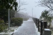 影/寒流來襲！太平山下冰霰再現雪白美景　啟動春節第2波管制措施