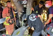 影/尷尬！他貪玩慘與大樹「連結」　母傻眼報警求助