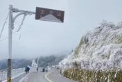上帝的傑作！太平山路牌「蓋上迷你小山」成期間限定　網圍觀嗨翻：好可愛