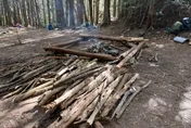 恐吃牢飯！八仙山造林地辦營火晚會　21人遭查送辦「最重罰600萬」
