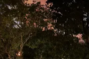 快訊/屏東榮總旁火警！火舌暴竄衝破天際　濃煙蔓延驚悚畫面曝