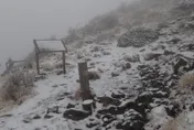 影/雪山今飄雪了！積雪2至5公分　銀白世界超壯觀