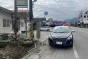 台9線真的「降肉」了！花蓮警協助找回2隻豬