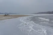 極地低溫風暴襲北美各地成急凍世界　麻州海灘竟出現「冰封鯊魚」