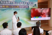 肥胖也是慢性病！嘉基領先引進「胃袖整形術」　臨床證實：可減去原體重13.6％