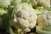 他半根GG「被菜花包住」還流湯！醫找不到尿道口傻了　滲血爛掉快變「癌」