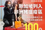 快訊/新加坡列非洲豬瘟疫區　即日起禁帶星國豬肉製品入台最高罰100萬