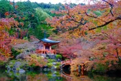 7人同遊日本！6人擺爛當巨嬰　她「1招」神反擊