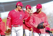 影/天使揭「大谷使用手冊」　熱身賽首登板時間曝　WBC禁救援