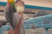 高鐵對眼尼姑竟遭「飆國罵5分鐘」！他淡定不理還被「巴頭」⋯傻眼：遇到怪人
