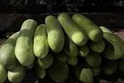 冬瓜好處竟有那麼多！中醫曝不只利尿、助代謝減重更可防「這疾病」
