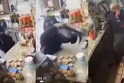 遭手槍、步槍連射！美國硬漢老闆「頭部中彈」…下秒竟自行起身報警