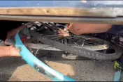 快訊/嘉義單車男與貨車相撞！遭輾「身體折疊」卡車底命危搶救中