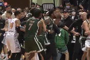 台版「奧本山大亂鬥」！T1職籃爆鬥毆衝突　雲豹陳孝榕肘擊蔣淯安遭英熊助教追打