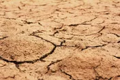 影/極端氣候再發威！威尼斯降雨過少　部份運河乾涸連貢多拉都擱淺