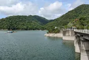 山老鼠石門水庫扛「114kg肖楠木」！警喬裝釣客逮4嫌