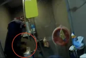 抓到了！北市警五股追捕開6槍毒犯逃逸　他大腿中彈逃1天1夜落網