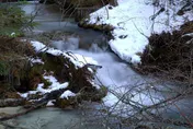 今起冷到周末！228連假「最佳追雪時間出爐」　下波冷空氣接力報到