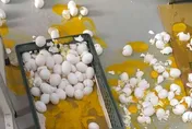 真的「玩蛋」了！他手殘打翻整箱雞蛋哭訴　網虧：根本炫富
