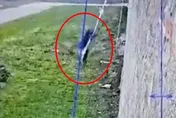 影/黑手黨老大用「床單」自製繩索越獄　粗心獄警2小時後才發現「人不見了」