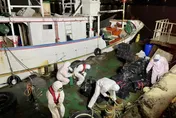 海巡署出動行動X光機、偵搜犬　查獲12萬5千包私菸市價800萬