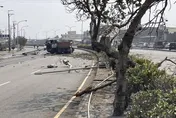 影/驚悚！砂石車失控拔路燈　現場宛如龍捲風掃過路樹橫躺