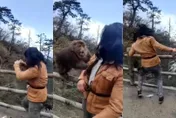 影/山大王遇搏擊高手！峨嵋山「人猴大戰」互毆影片瘋傳　網笑：小心牠叫大師兄來！