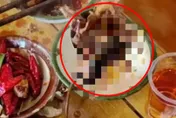 噁到衝去吐！他火鍋吃一半撈出「煮爛的完整老鼠」崩潰：以為是毛肚