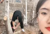 「樹擋姻緣」女子聽信算命師建議掄起電鋸直接砍　網笑翻：樹用生命幫嫁人