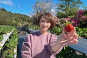 美女主播罹乳癌！曾2度開刀「挖掉一大塊組織」曝：老公也害怕