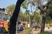 快訊／目擊者嚇到花容失色！高雄愛河驚傳女子落水　「無呼吸心跳」送醫
