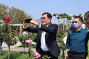 川伯又出手了！推銷玫瑰花展也懂耍浪漫：把一生的花一次送給老婆