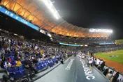 WBC棒球經典賽/台式應援太熱血！震撼大聯盟記者　誇張神比喻讓人秒懂
