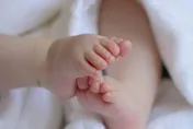 同性生殖將成真？日本幹細胞專家以「雄性細胞」培育卵子！成功誕生7幼鼠