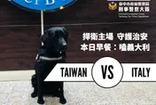 WBC棒球經典賽/中華隊戰義大利！警犬「海嗑披薩」吃超乾淨…用嘴巴挺國球