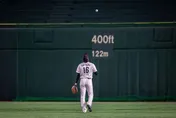 WBC棒球經典賽/日本首戰虐中國創下「收視率41.9%」　史上第2高！