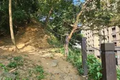 快訊/中和老翁跌落6米邊坡　頭部重創命危送醫搶救中