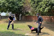 WBC棒球經典賽／台中警犬姊妹神預測贏荷蘭 　「奧迪」狂咬古巴集氣