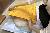 寵物殯葬合法化難處多　用地問題待解