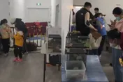 影/海洋展出現羊駝！她怒控花110元像在客廳看「魚缸」　商場回應來了：外包項目