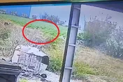 說上廁所真烙跑！朱漢宗消失23hrs「被抓回來了」　逃亡畫面曝