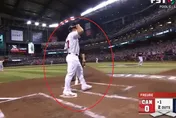 WBC棒球經典賽/張育成「敬禮風」吹進美國隊！「神鱒」開轟助隊扣倒加拿大
