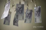 蔡政府普發6000是德政？最新民調跌破眼鏡  網友大爆真心話