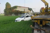 影/小白犁田！屏東男駕車直直衝落壓傷稻苗　警方：疲勞駕駛肇禍
