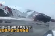 影/50年一遇！河南三月暴雪倉庫「骨牌式」垮塌　40畝葡萄棚毀於一旦
