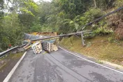快訊/翻車撞斷電線桿現場曝！大貨車載浪板走坪林山路　下坡過快轉彎處出事