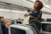 影/空姐飛機上撿到圓潤萌貓　吃力抱牠找主人忍不住喊「好重」